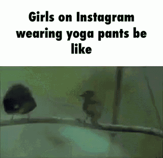 Instagram Yogapants GIF - Instagram Yogapants Girls On Instagram GIFs