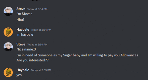 a screenshot of a conversation between steven and haybale