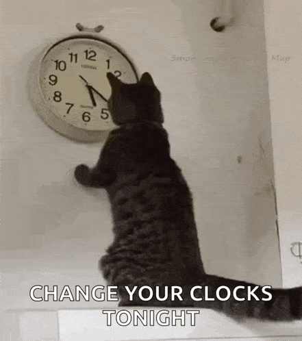 Cat Changing The Clock Changing The Time GIF - Cat Changing The Clock Changing The Time Kitty GIFs