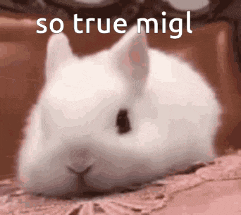 a white rabbit is laying on a bed with the words so true migl above it .
