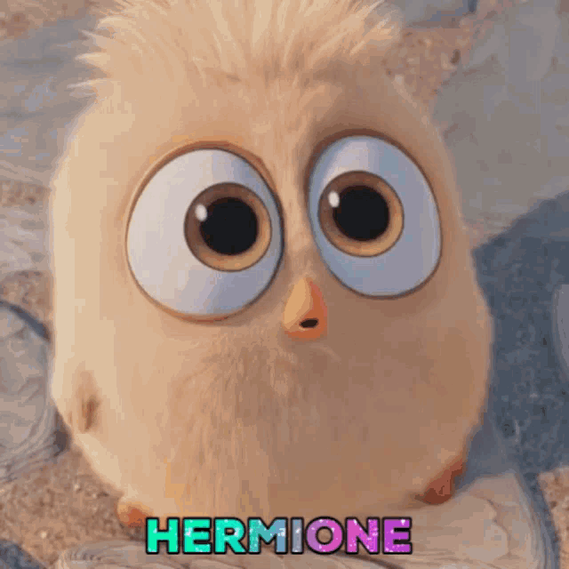 a cartoon owl with the name hermione written on it