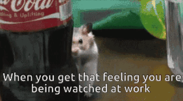 Stare When You Get That Feeling GIF - Stare When You Get That Feeling You Are Being Watched At Work GIFs
