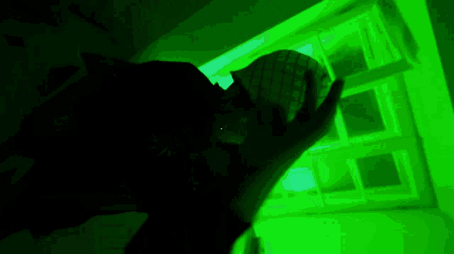 a person standing in a dark room with green lights behind them