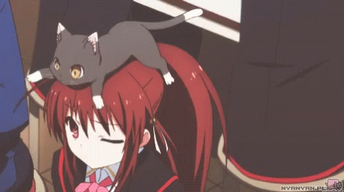 Anime Red Hair GIF - Anime Red Hair Cat GIFs