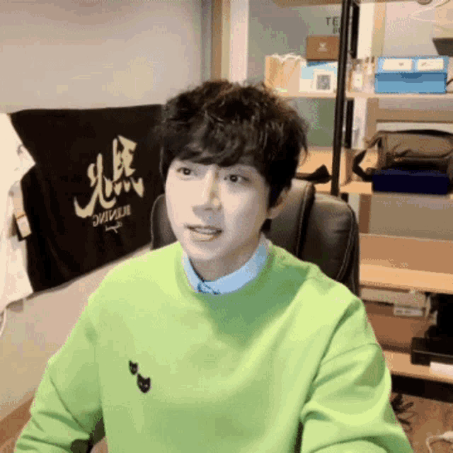a man wearing a green sweater with a cat embroidered on it sits in a chair