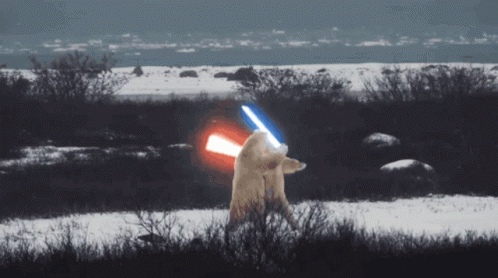 Lightsabers Polar GIF - Lightsabers Polar Bears GIFs