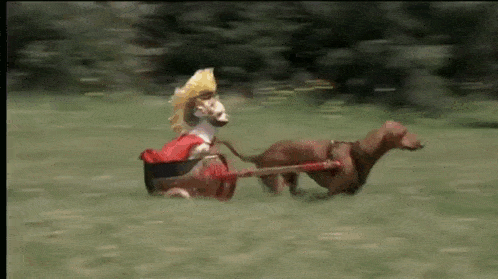 Dogs Are Acting Strange Weird GIF - Dogs Are Acting Strange Weird Scary Movie GIFs