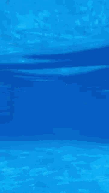 a man is swimming underwater in a swimming pool .