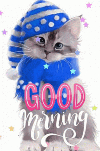 Good Morning Cute Gif GIF - Good Morning Cute Gif - Discover & Share GIFs