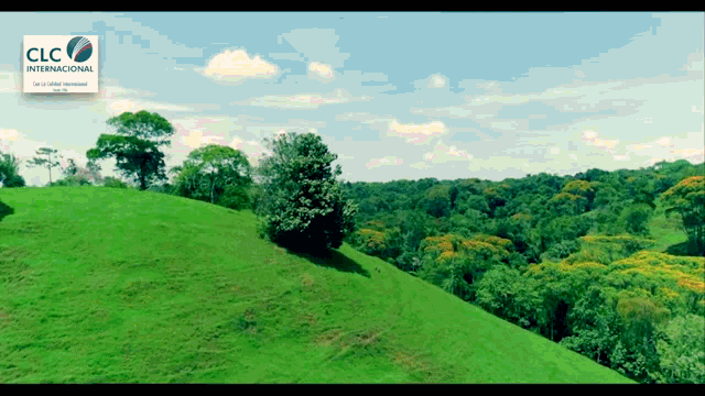 a picture of a lush green hillside with a clc international logo