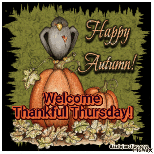 a picture of a bird sitting on top of a pumpkin with the words welcome thankful thursday