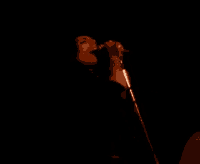 a person is singing into a microphone in a dark room .