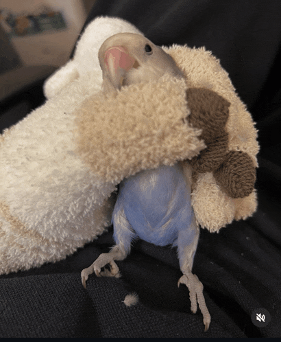 a small blue bird is sitting on a white blanket