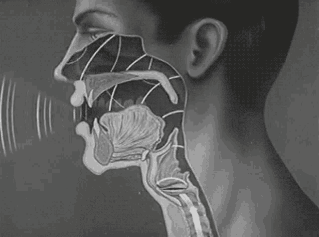 a black and white drawing of a man 's mouth and throat