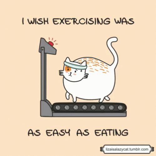 I Wish Exercising Was As Easy As Eating - Chubby GIF - Chubby I Wish Exercising Was As Easy As Eating Chubby Cat GIFs