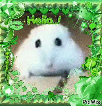 a picture of a hamster in a green frame that says " hello "