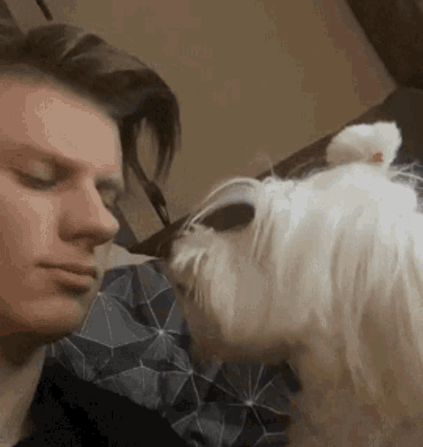 a white dog is sniffing a man 's face with its nose