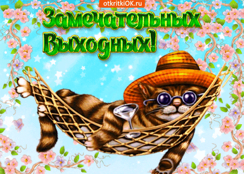 a cat is laying in a hammock with a martini in its paw