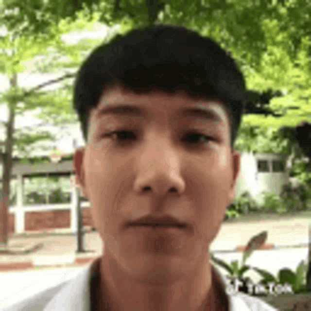 a young man in a white shirt is looking at the camera with trees in the background .