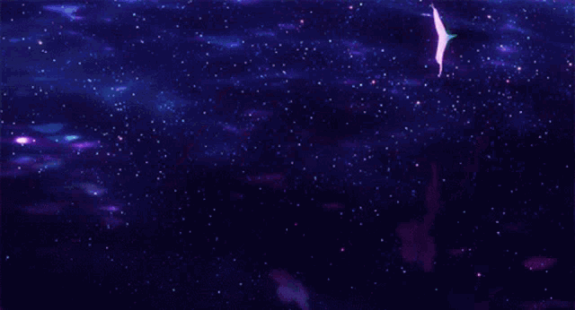purple flowers are floating in the water with a dark background