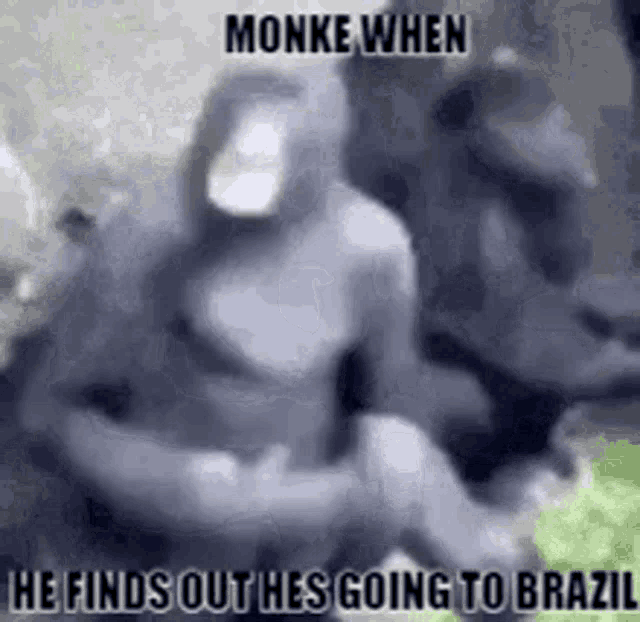 Ethan Monkey GIF - Ethan Monkey Brazil GIFs