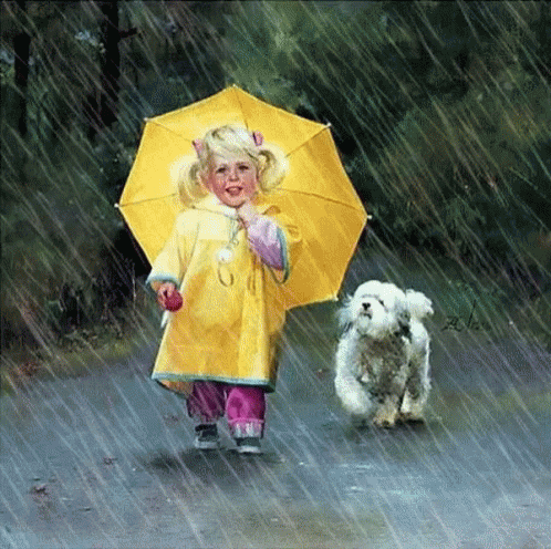 Raining Wet GIF - Raining Wet Dog GIFs