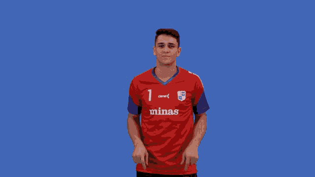 a man wearing a red shirt with minas on the front