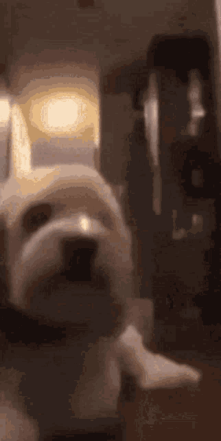 a blurred image of a person standing in a room with a candle on the table .