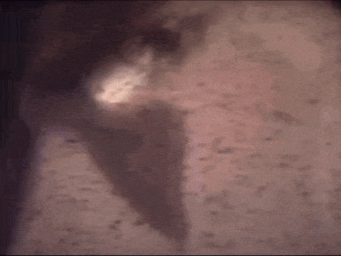 a close up of a person 's face with a blurred background .