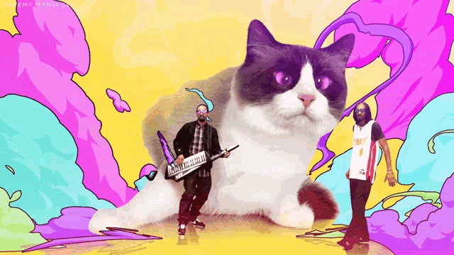 a man playing a keyboard in front of a cat and a man wearing a shirt that says miami