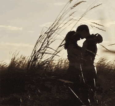 a man and woman kissing in a field with tall grass