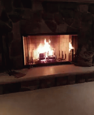 Fireplace GIF - Fireplace GIFs