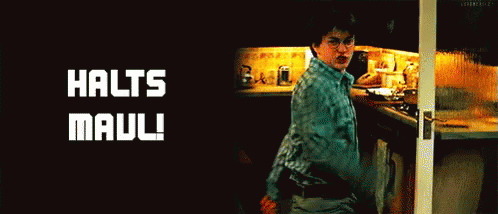Halts Maul, Sagt Harry Potter - Halts Maul GIF - Halts Maul Halts Maul GIFs