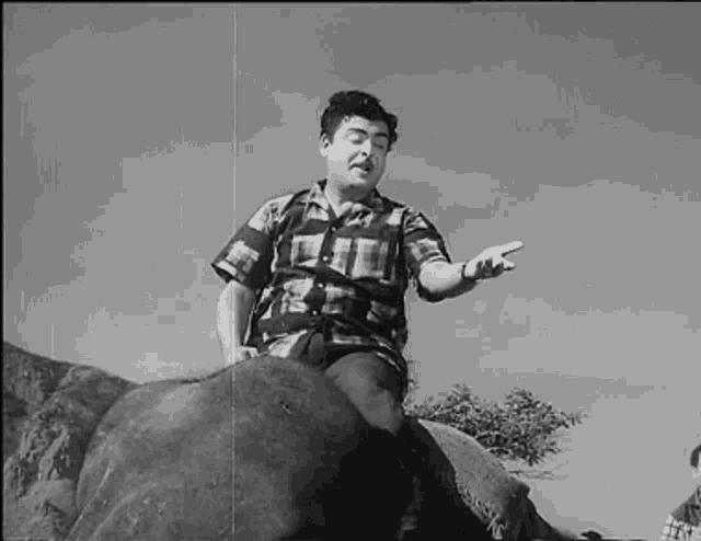 a man in a plaid shirt is sitting on the back of an elephant and pointing