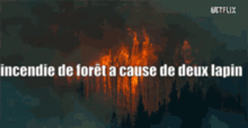 Incendie De Forêt A Cause De Deux Lapin GIF - Incendie De Forêt A Cause De Deux Lapin GIFs