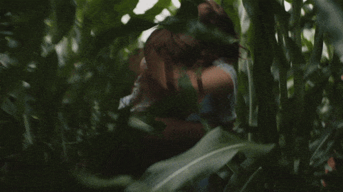 two children are hugging each other in a field of plants