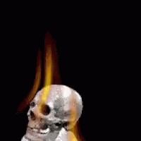 Skull Flames GIF - Skull Flames GIFs