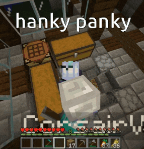 a screenshot of a video game with the words hanky panky