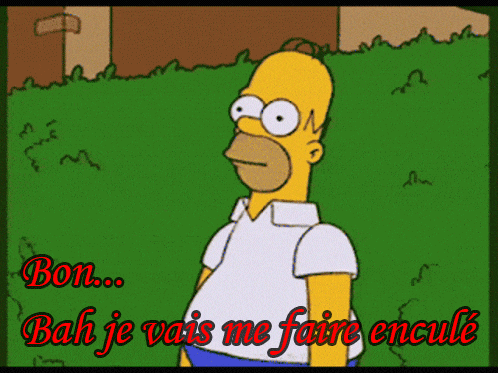 a cartoon of homer simpson with the words bon bah je vais me faire encule below him