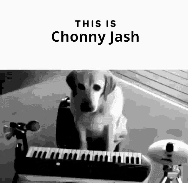 Chonny Jash Cj GIF - Chonny Jash Cj Chonny GIFs