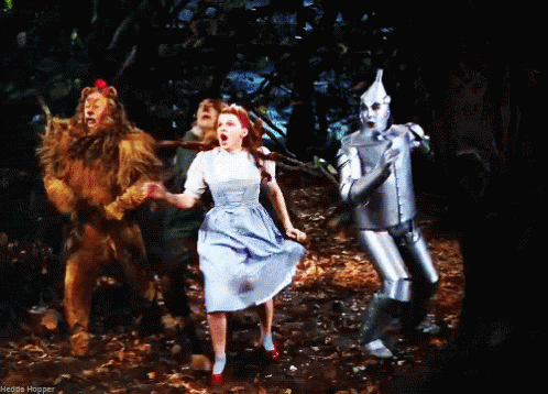 Wizard Of GIF - Wizard Of Oz GIFs