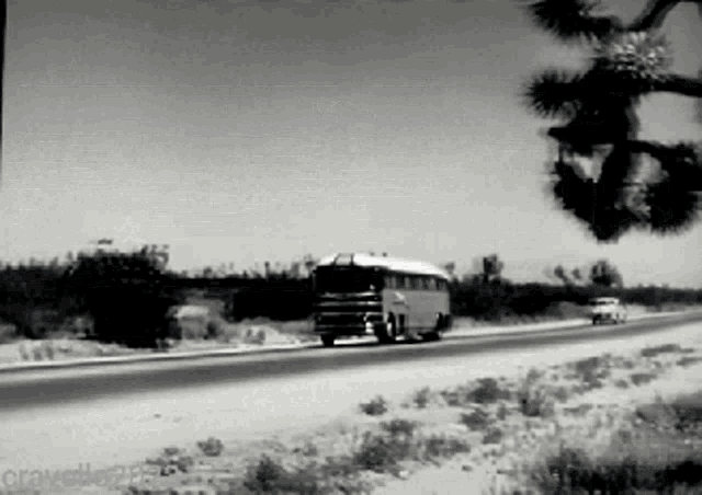 Greyhound Greyhound Bus GIF - Greyhound Greyhound Bus Leave The Driving To Us GIFs