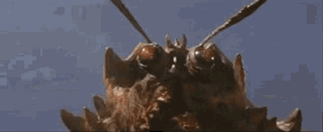 Space Amoeba Ganimes GIF