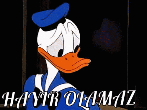 donald duck says hayir olmaz in a cartoon