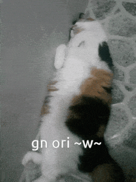 Gn Ori Orion GIF - Gn Ori Ori Orion GIFs