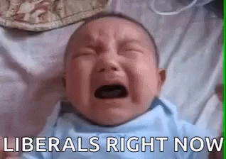 Liberal Liberals GIF - Liberal Liberals GIFs