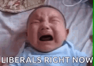 a baby is crying on a bed with the words liberals right now written on the bottom .