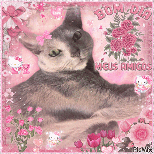 a picture of a cat with the words bom dia meus amigos written on it