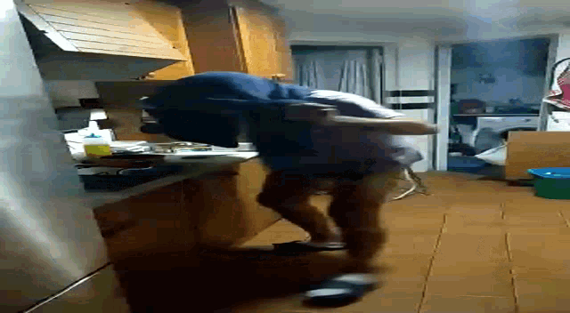 a person in a blue hoodie is doing a trick in a kitchen