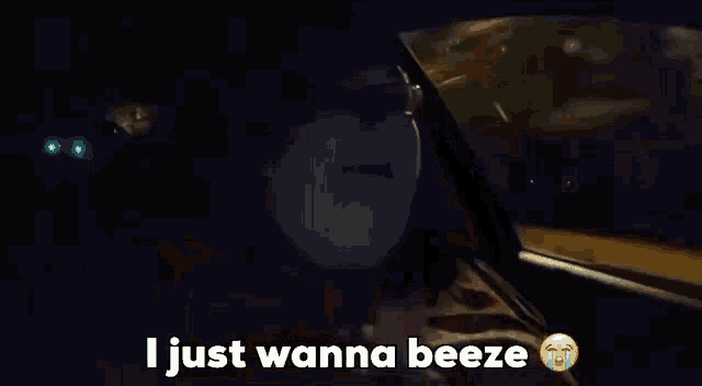 a man is driving a car at night and says i just wanna beeze .